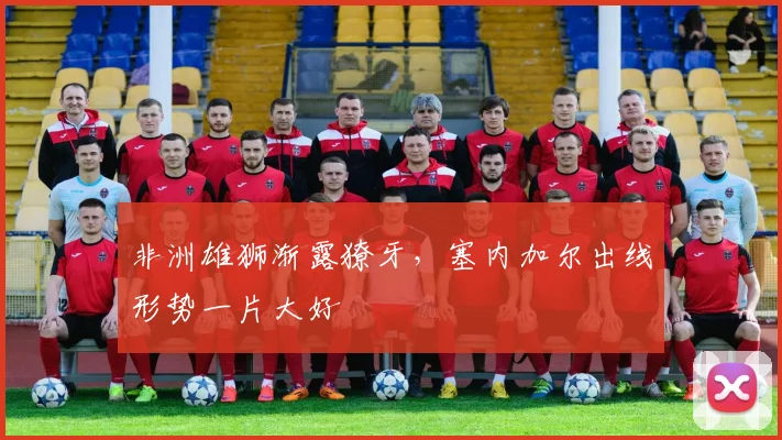 非洲雄狮渐露獠牙,塞内加尔出线形势一片大好