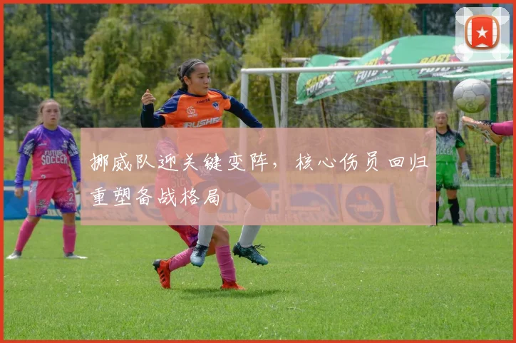挪威队迎关键变阵,核心伤员回归重塑备战格局