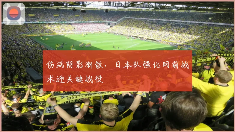 伤病阴影渐散，日本队强化网前战术迎关键战役 - 竞彩网