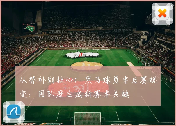 从替补到核心：黑马球员季后赛蜕变，团队磨合成新赛季关键